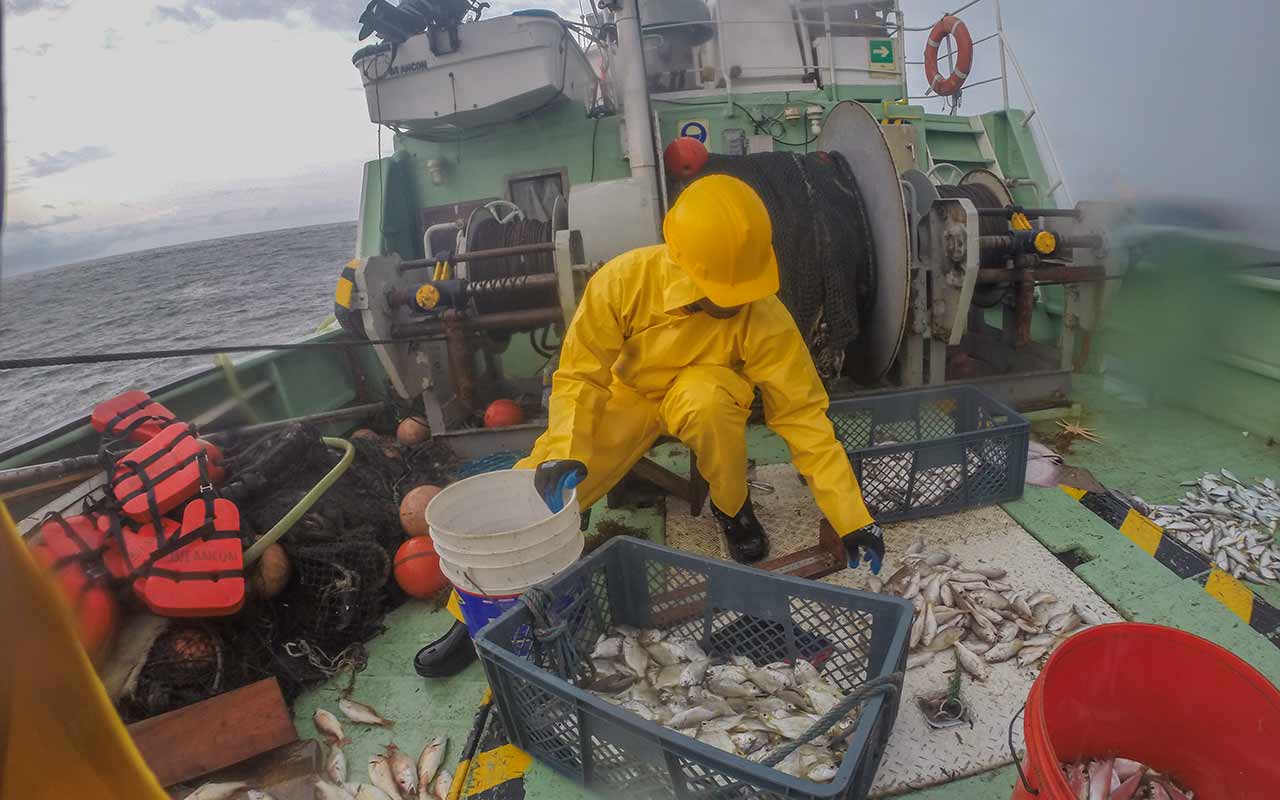 Foto de hombre recogiendo peces en barco de pesca