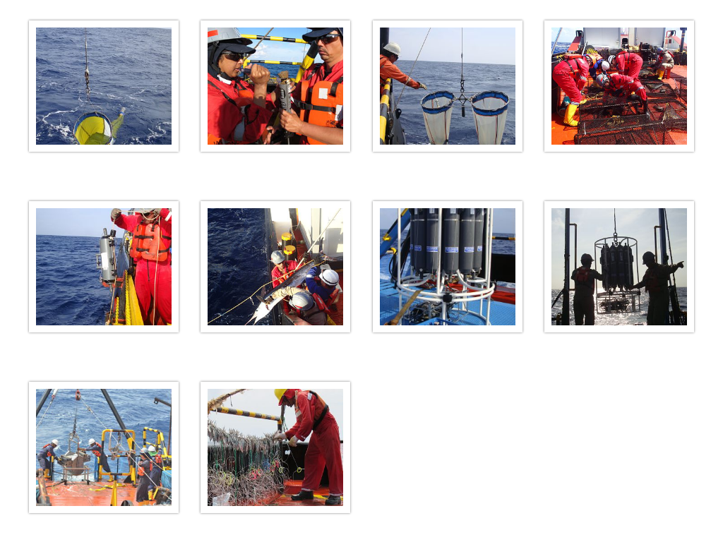 Collage de fotos de personal realizando toma de muestras en el mar