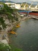 Derrame de aceite de palma en las bah�as de Taganga y Santa Marta, abril de 2008