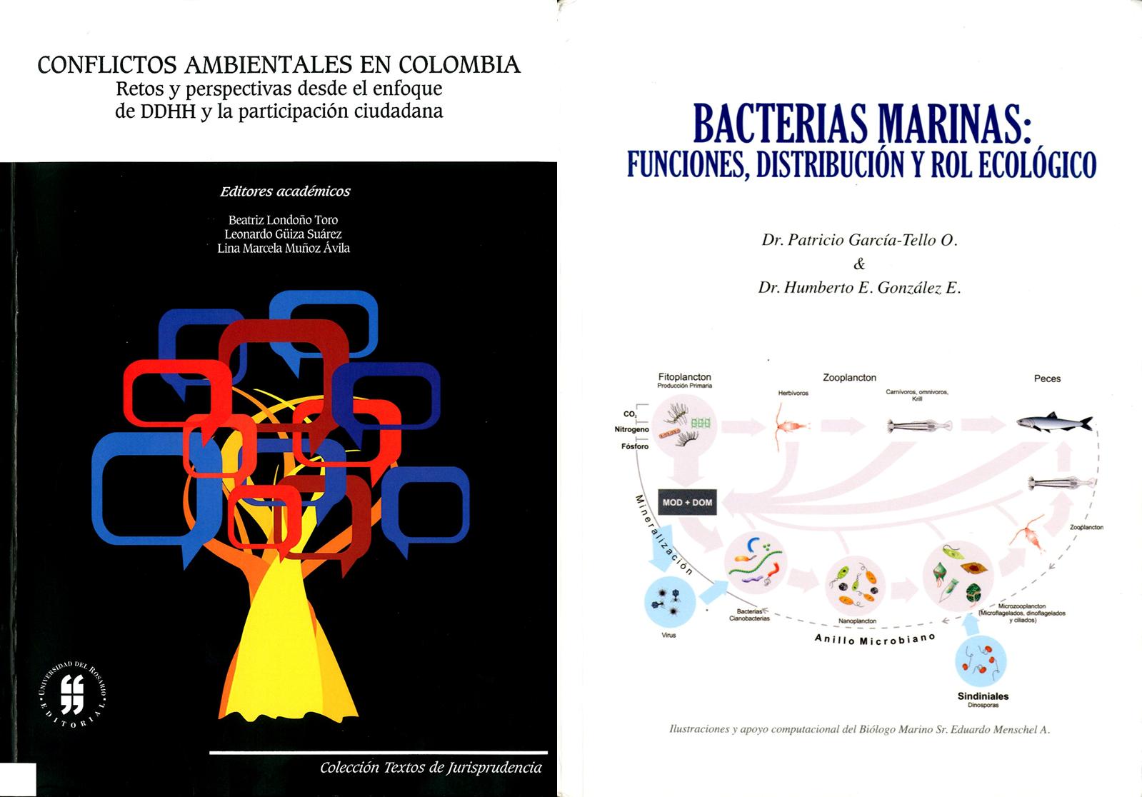 novedades enero-13