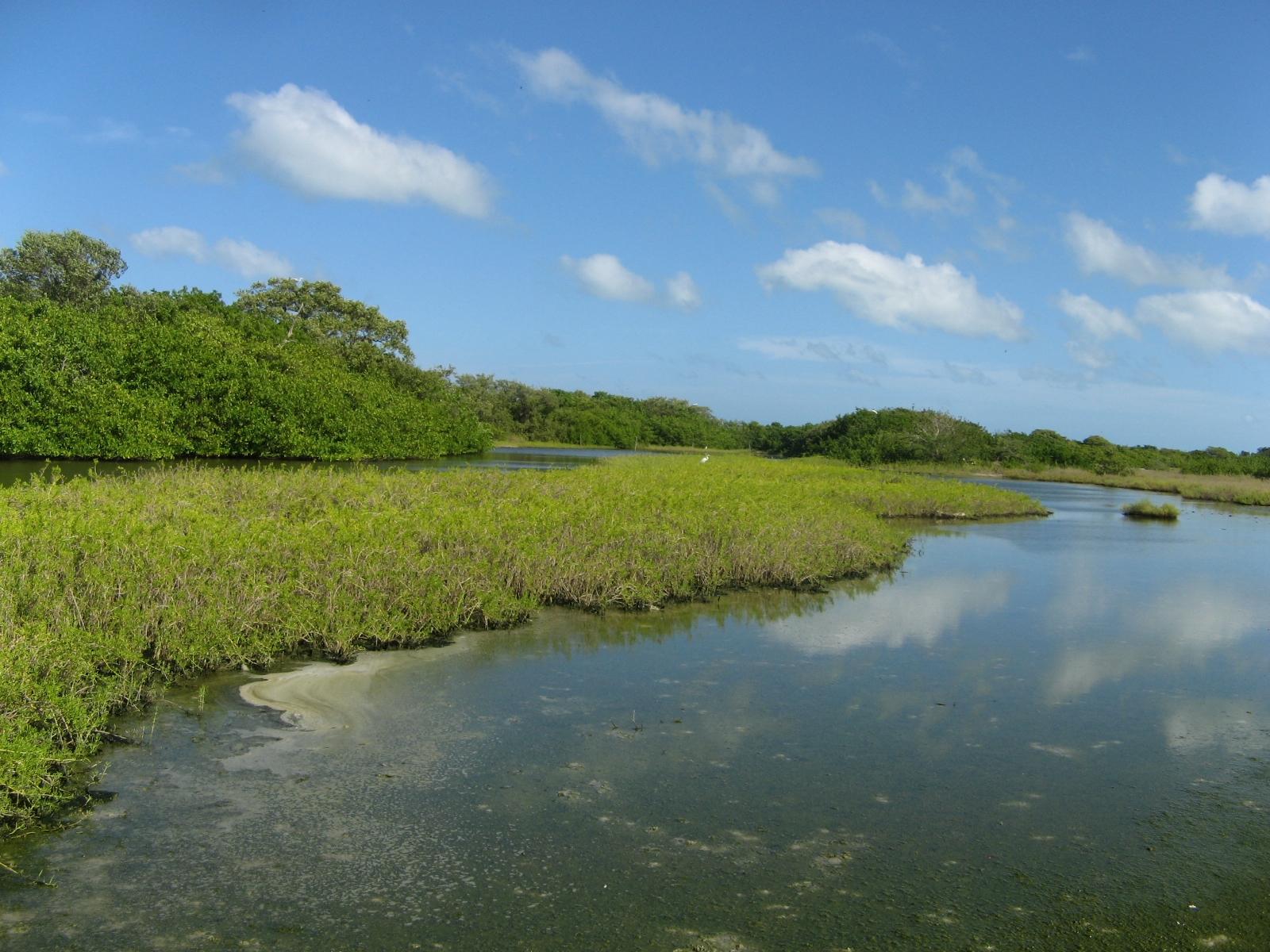 Definición de los límites naturales del humedal bello horizonte (Dibulla, La Guajira, Colombia), sus zonas de ronda y su área de amortiguamiento