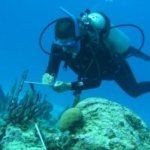 Estudios de monitoreo o seguimiento