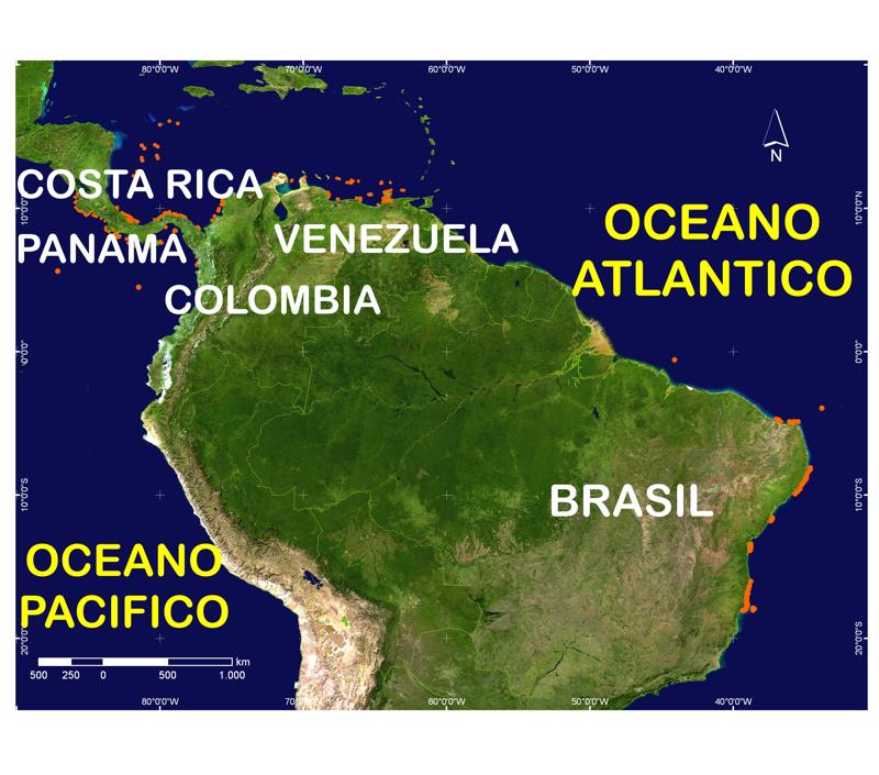 Nodo Regional del sector Sur de Am�rica Tropical (STA) de la Red Global de Monitoreo de Arrecifes Coralinos (GCRMN)