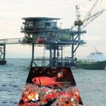 Biodiversidad Asociada a las plataformas de explotaci�n de gas natural (campo Chuchupa: La Guajira � Colombia)