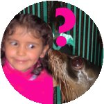 Mam�feros Marinos 