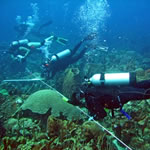 El monitoreo de arrecifes coralinos en Colombia: Herramienta para identificar impactos del calentamiento global 