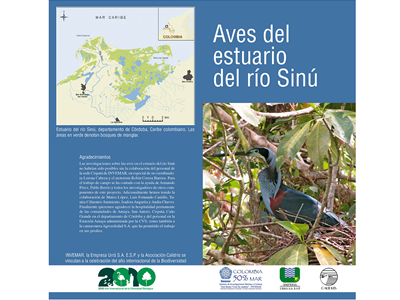Aves del estuario del r�o Sin�