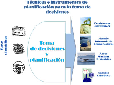 L�nea T�cnicas e Instrumentos de planificaci�n y toma de decisiones