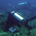 Monitoreo SIMAC a�o 2011: siguiendo la din�mica de los arrecifes coralinos en los mares colombianos