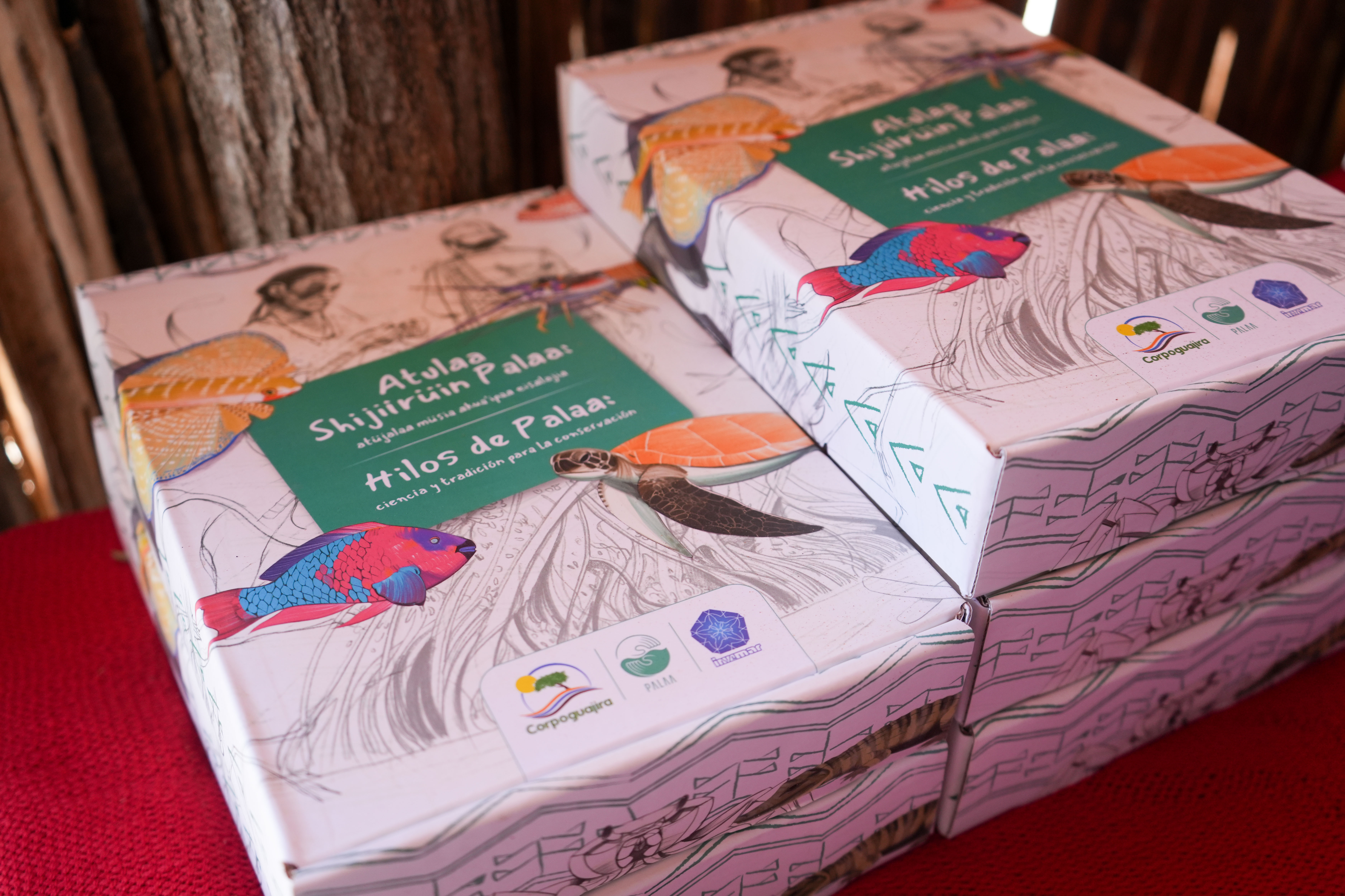 Cajas con libros resultado del proyecto