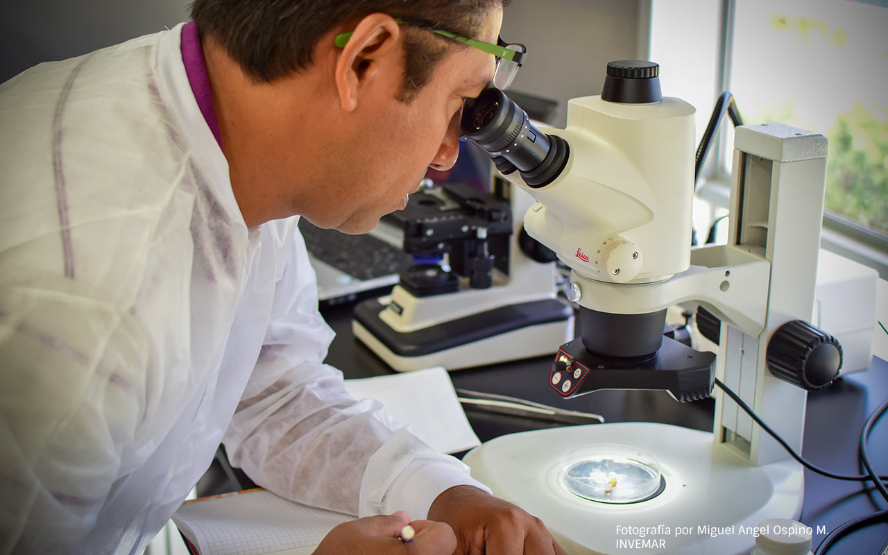 Foto de hombre usando microscopio en laboratorio