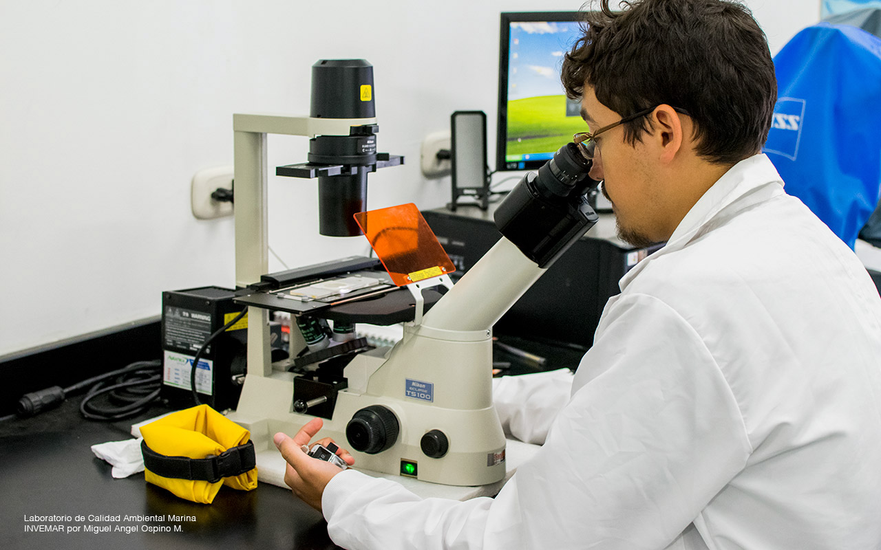 Foto de hombre usando el área óptica  