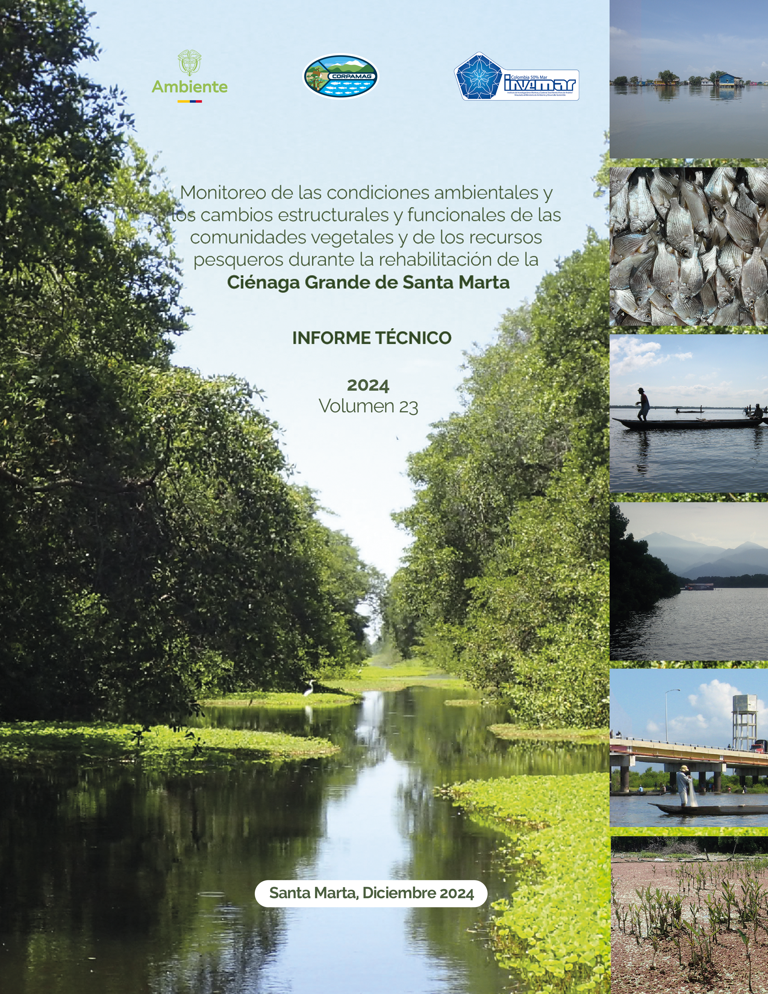 Portada informe