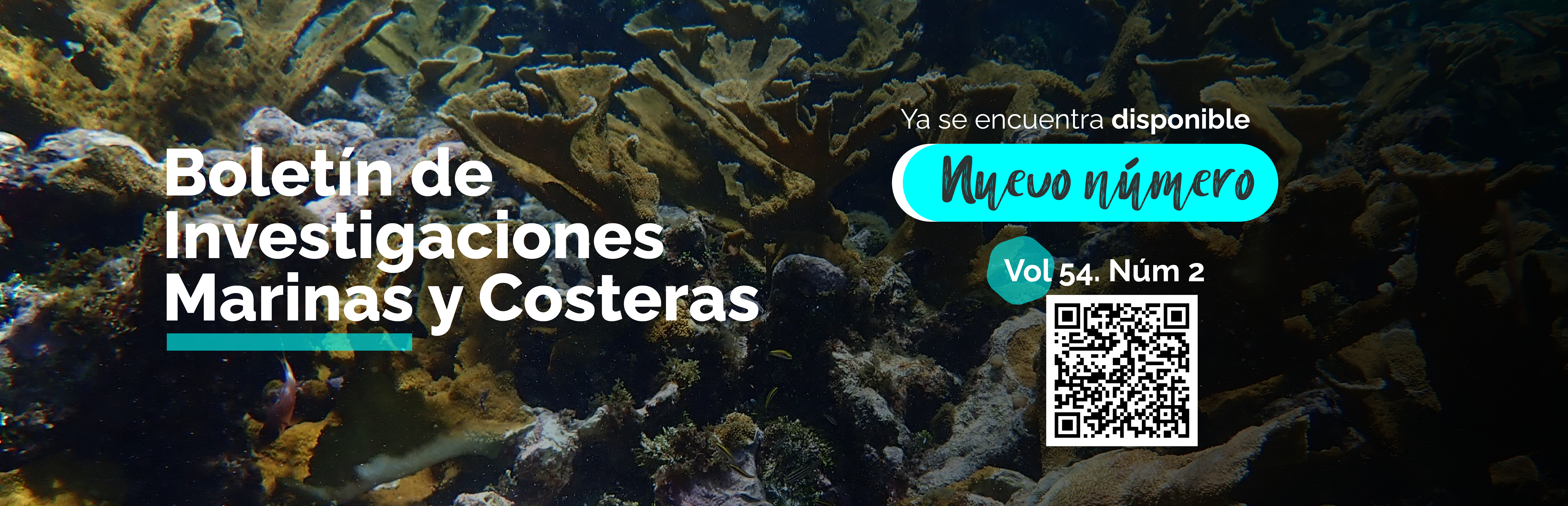Nuevo número del boletín