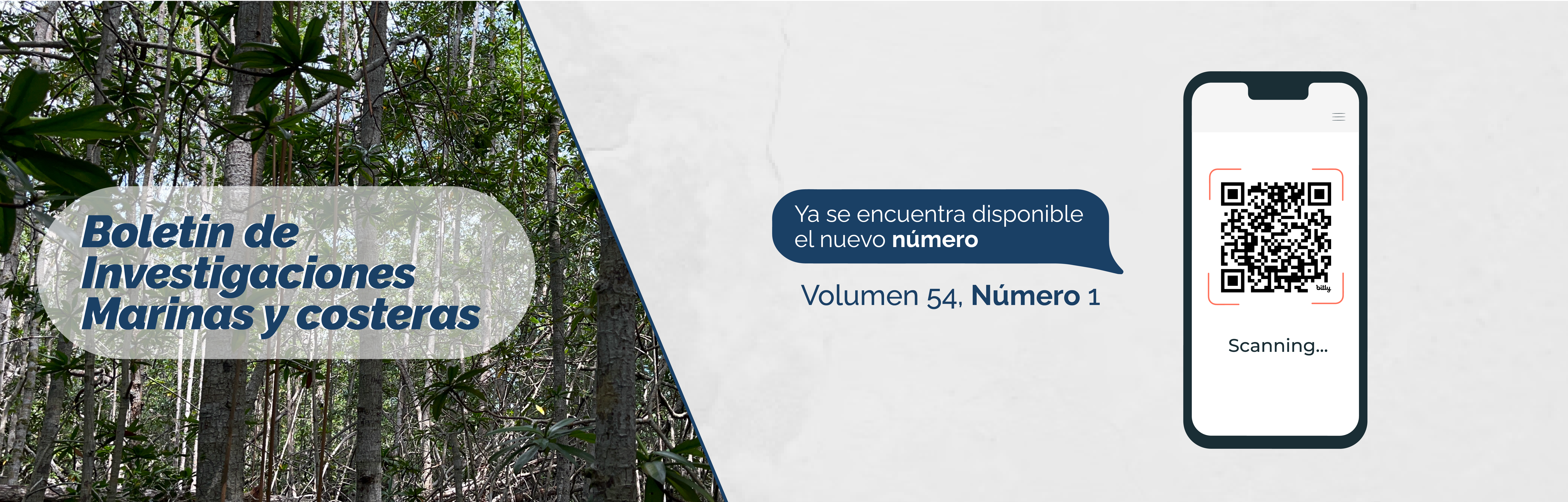 Banner nuevo volumen de Boletín