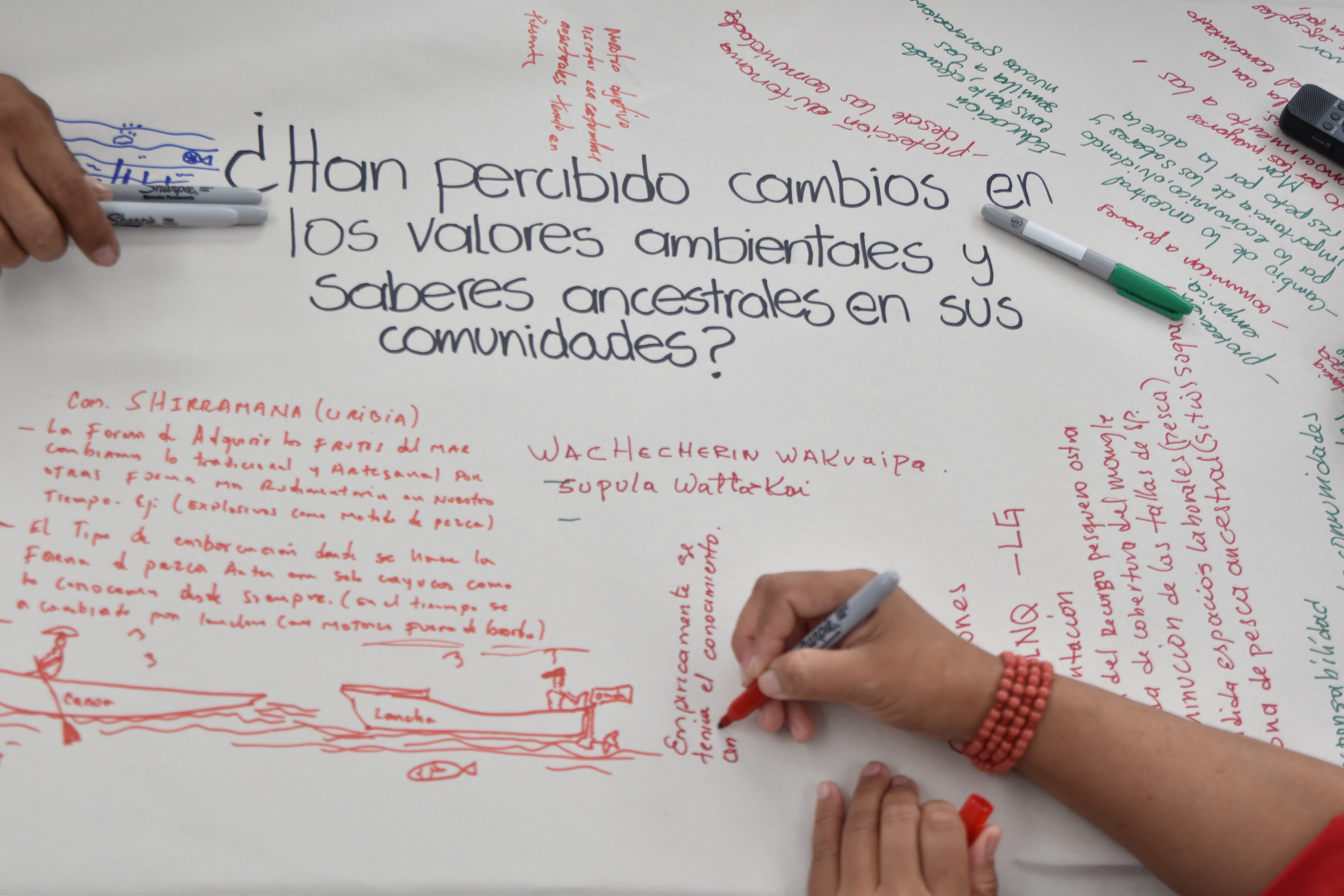Actividades del proyecto PALAA