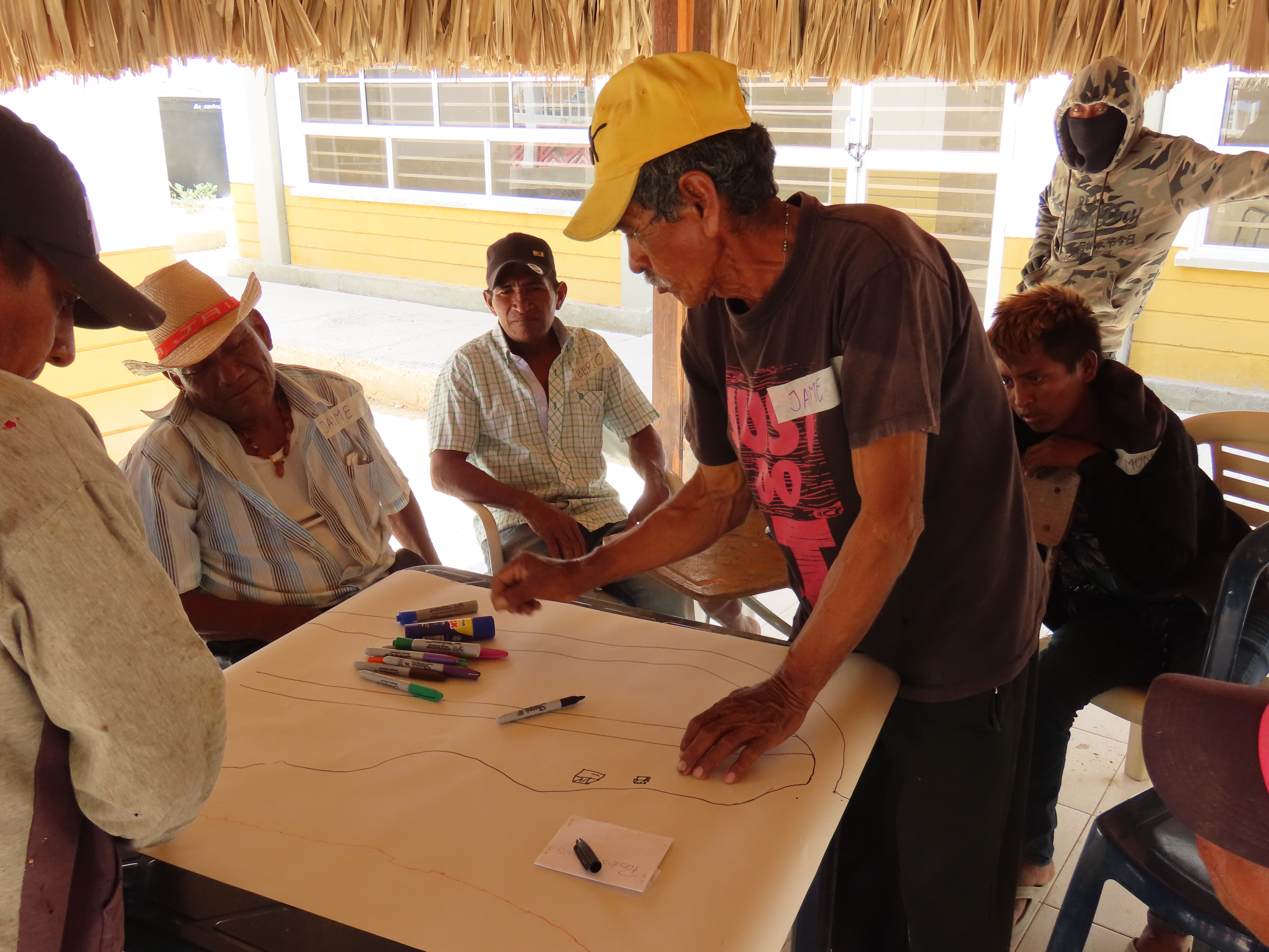 Actividades proyecto PALAA