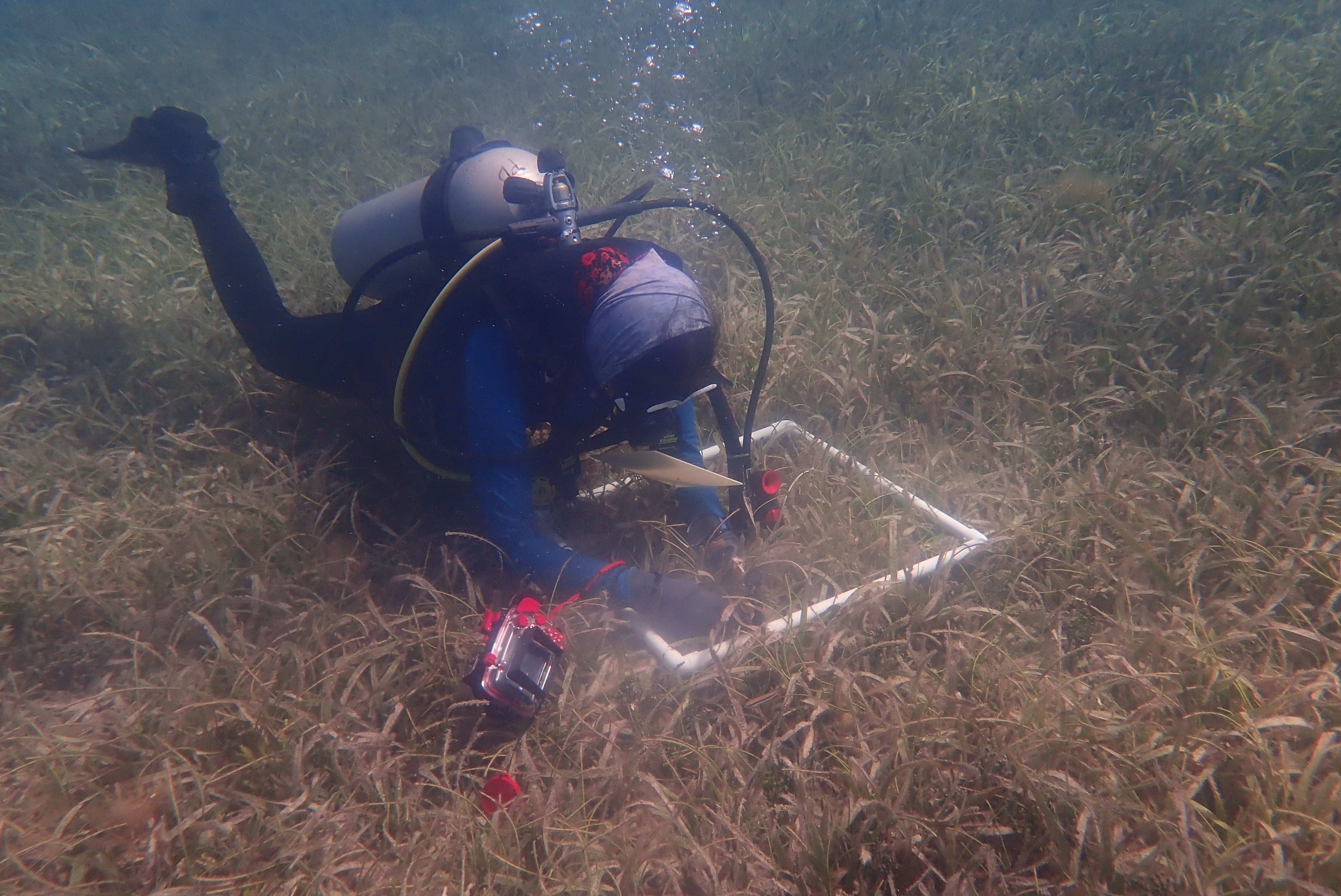 Nota sobre memorando de entendimiento con Coralina