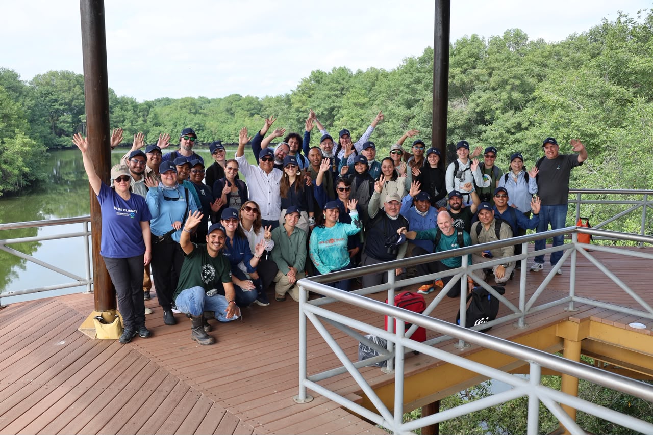 Anny Paola Zamora Bornachera, coordinadora general del Proyecto Conservación y Uso Sostenible de la Ciénaga Grande de Santa Marta —GEF7-CGSM—, participó en la Reunión internacional presencial de los capítulos de la Global Mangrove Alliance, realizada en Guayaquil, Ecuador, donde socializó aprendizajes, testimonios y avances de restauración comunitaria en este importante humedal del Caribe colombiano. 