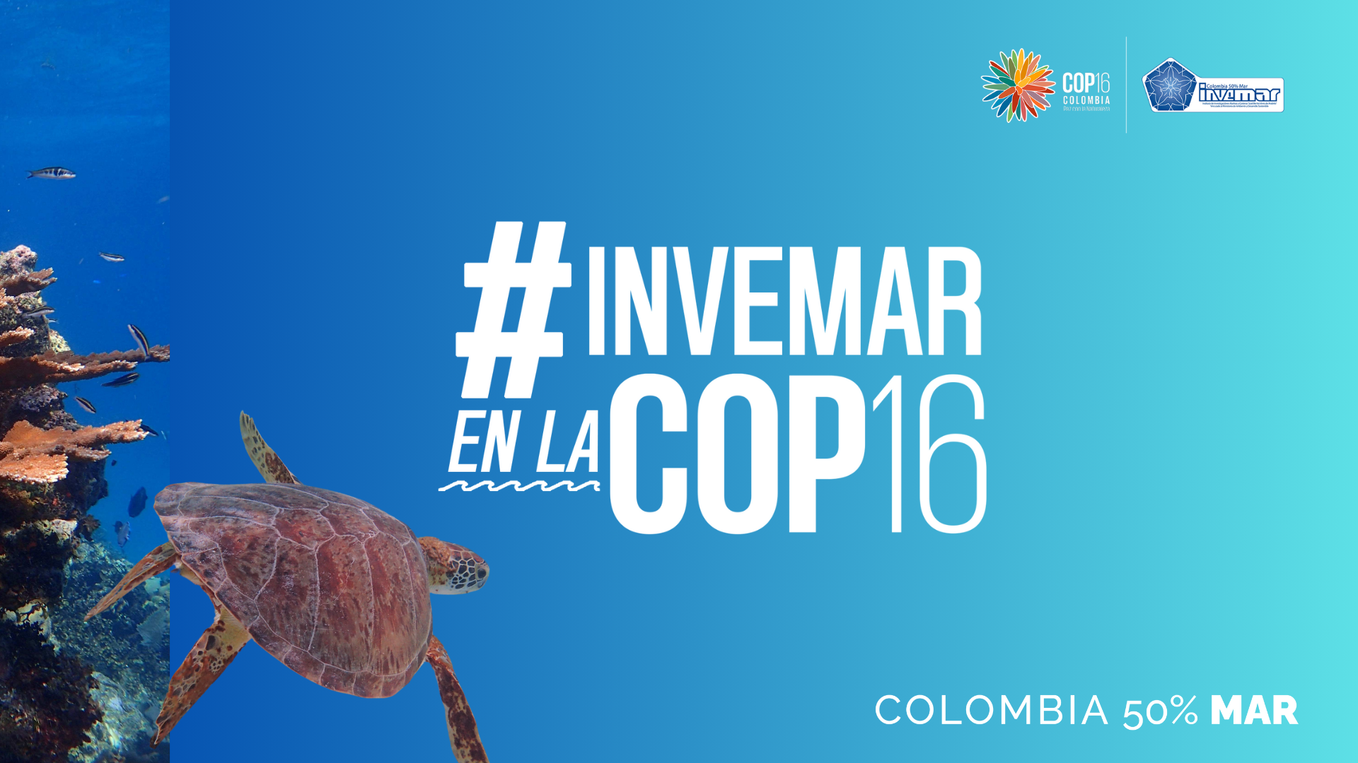 Imagen gráfica del INVEMAR en la COP16