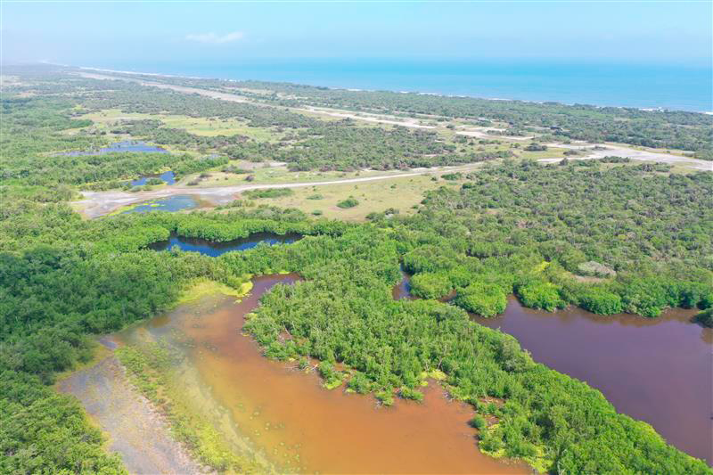 Imagen de DRON de manglares