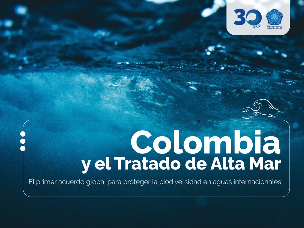 Este 17 de enero entra en vigor el Acuerdo sobre la Conservación y el Uso Sostenible de la Biodiversidad Marina en Áreas Fuera de la Jurisdicción Nacional, conocido como el Tratado de Alta Mar o Acuerdo BBNJ. Se trata del primer acuerdo internacional diseñado específicamente para proteger la biodiversidad en las aguas internacionales, que representan cerca de dos tercios del océano del planeta.