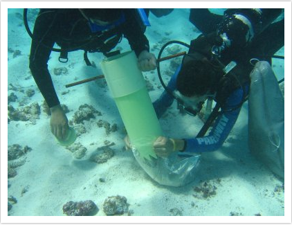 Foto de busos recolectando muestras