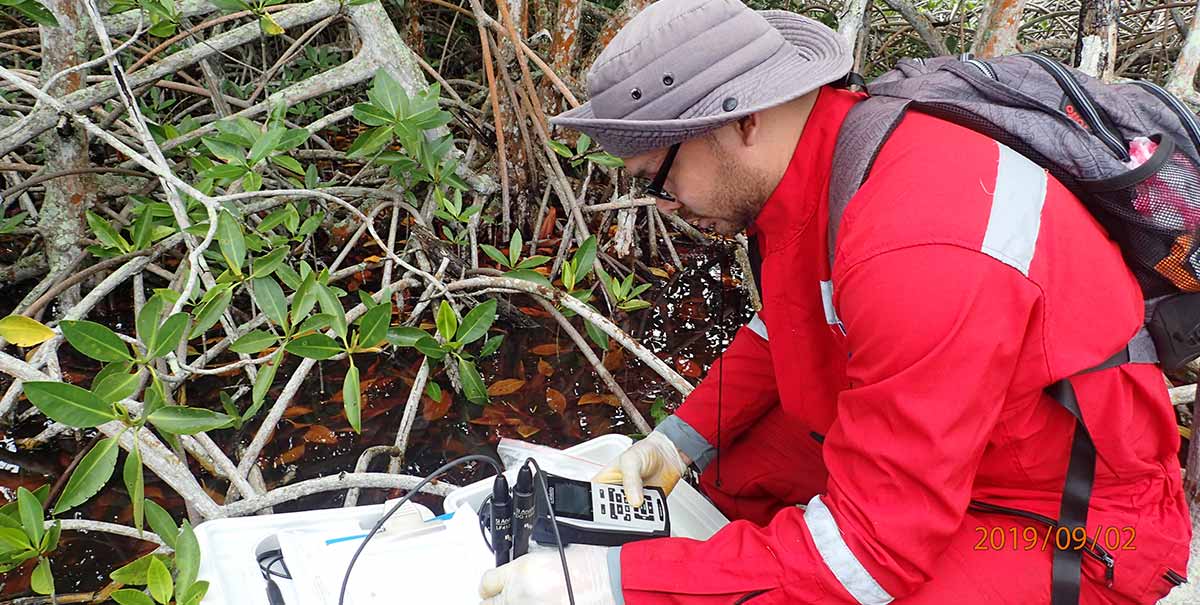 Foto del investigador Ostin Garces durante el Monitoreo de Manglares en Cispatá en el proyecto MAPCO, en septiembre de 2019