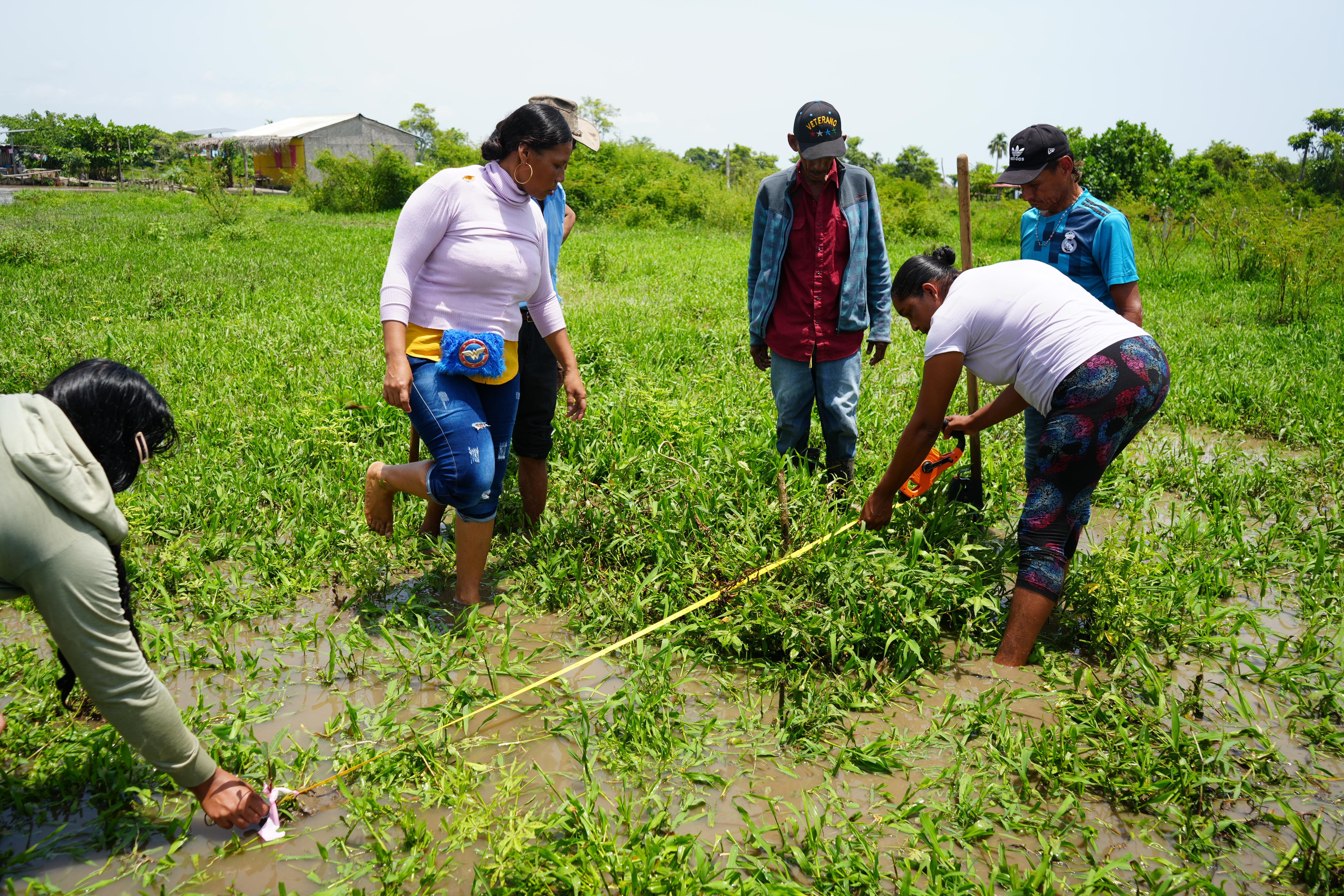 Las comunidades locales en conjunto con el INVEMAR, las autoridades ambientales nacionales, the Global Mangrove Alliance (GMA), el programa Mangrove Breakthrough y otros organismos de cooperación internacional como el Global Environment Facility (GEF), el Banco Interamericano de Desarrollo (BID) y Conservación internacional, vienen sumando esfuerzos para promover la restauración de más de 1.000 ha y la conservación de aproximadamente 17.000 ha de manglares en la Ciénaga Grande de Santa Marta (CGSM) y contribuir a los compromisos internacionales en materia de biodiversidad y cambio climático.