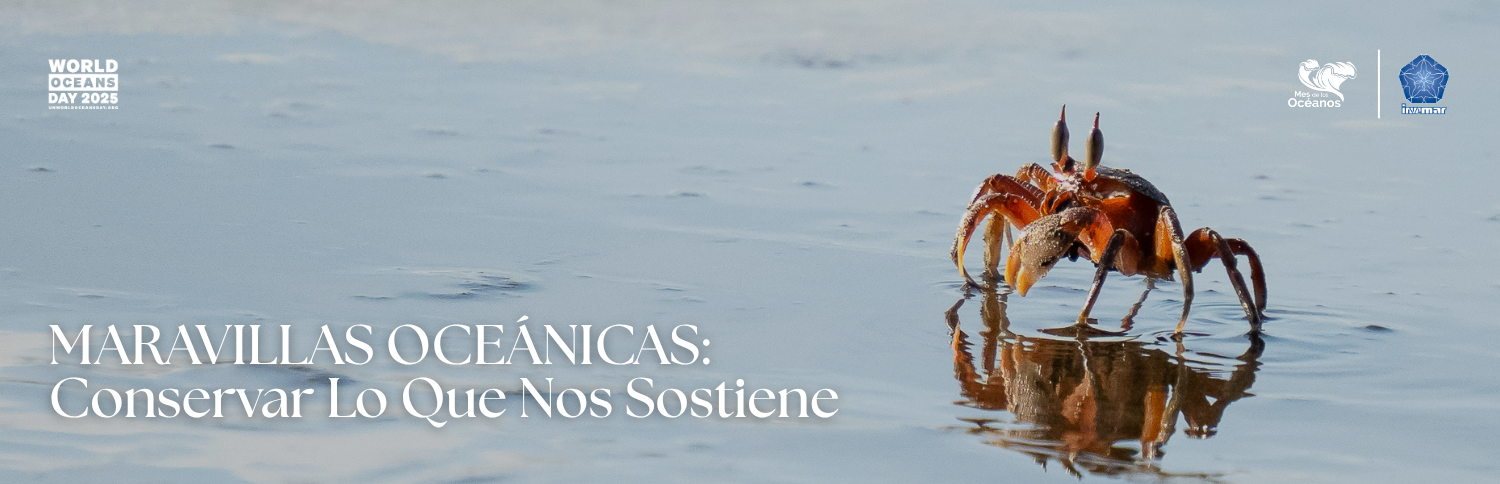 Mes de los océanos 2025