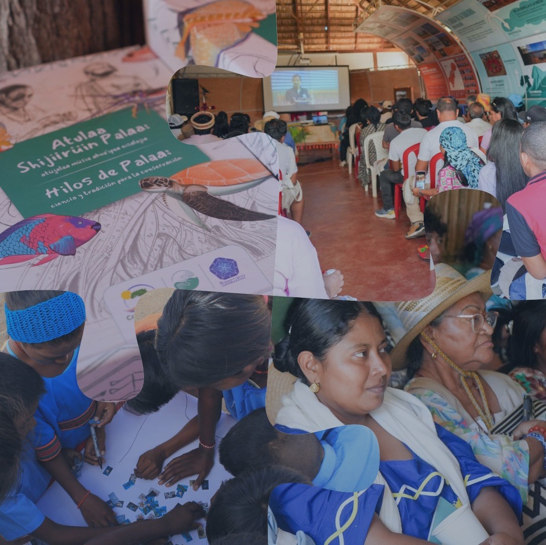 Composición fotográfica que muestra un proceso de participación comunitaria en un espacio cerrado con techo de madera. Se observan personas sentadas escuchando una presentación proyectada, actividades grupales alrededor de una mesa con materiales impresos y un cuadernillo ilustrado cuyo título visible dice “Shijurim pala: Hilos de Pala”. La imagen combina escenas de diálogo, trabajo colaborativo y materiales educativos relacionados con un diagnóstico participativo.