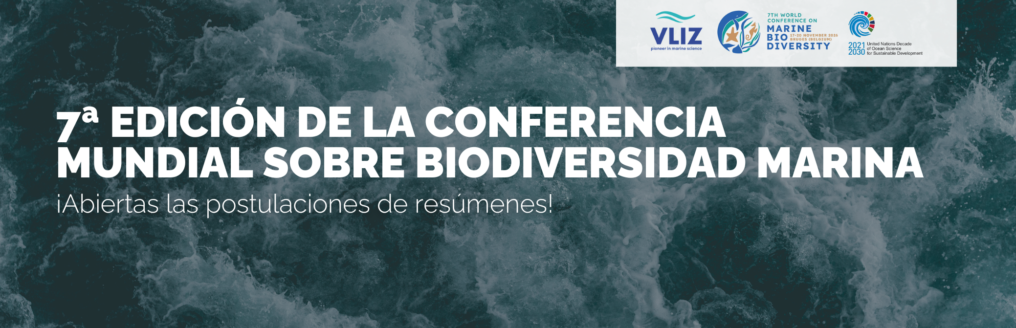 call for abstracts VILZ
