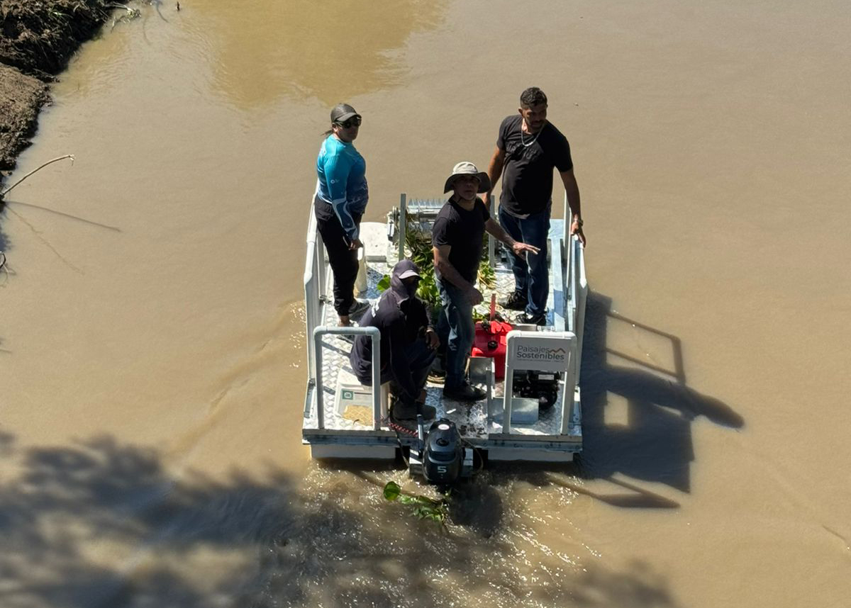 En el marco del proyecto Paisajes Sostenibles – Herencia Colombia, financiado por Unión Europea, co-ejecutado por FAO Colombia y el INVEMAR, se realizó la entrega oficial de la máquina recolectora de macrófitas, resultado de un proceso de co-creación entre las comunidades locales del corregimiento de Palermo (zona de influencia del área protegida Vía Parque Isla de Salamanca), expertos de la empresa Reyntexcol e investigadores del Instituto, quienes se dieron la tarea de diseñar, construir, ensamblar y operar una plataforma flotante que busca reducir esta problemática en la zona.