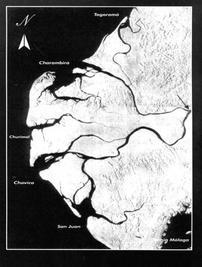Deltas y Estuarios