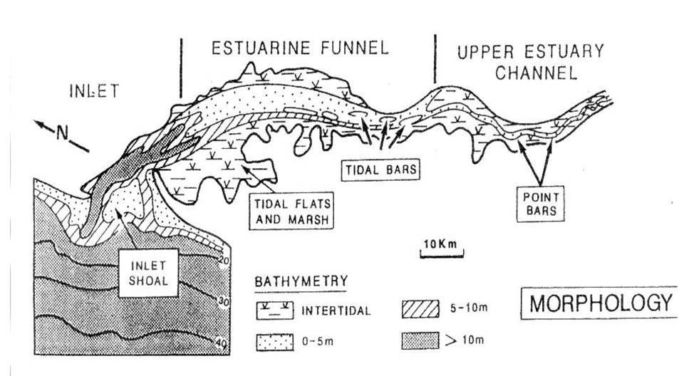 Deltas y Estuarios